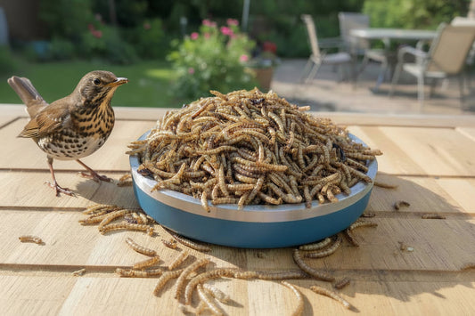 Dried Mealworms 1kg