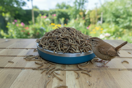 Dried Mealworms 100g
