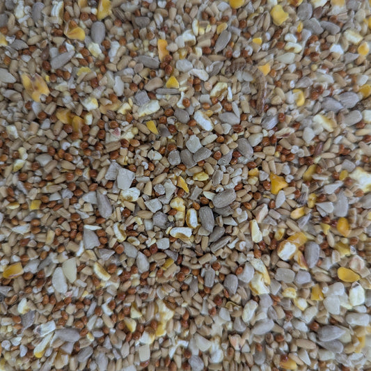 Robin & Songbird 1kg