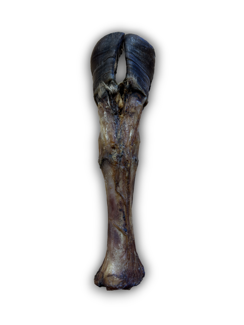 Anco Naturals Giant Cow Leg