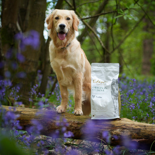 Eden Original Cuisine