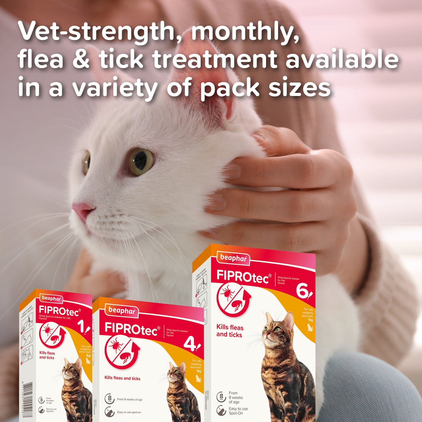 Beaphar Fiprotec Spot-On Cat