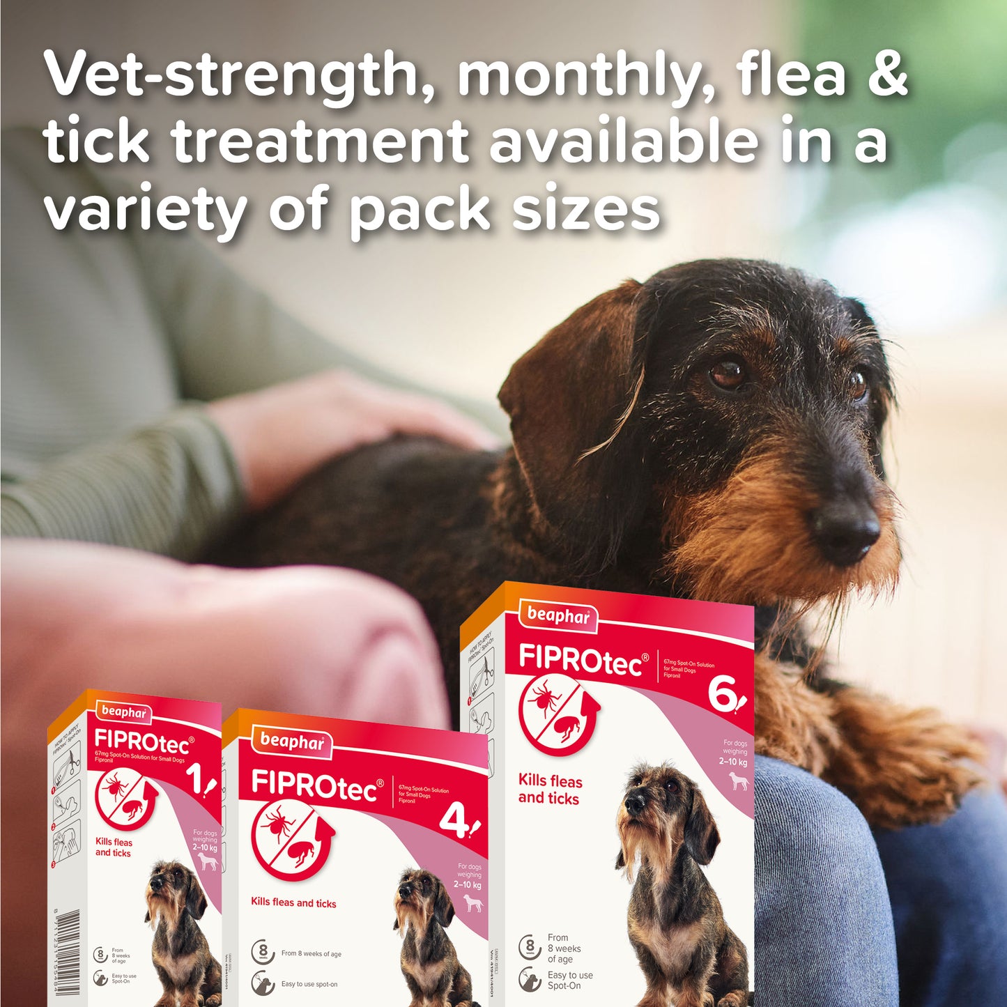 Beaphar Fiprotec Spot-On Small Dog