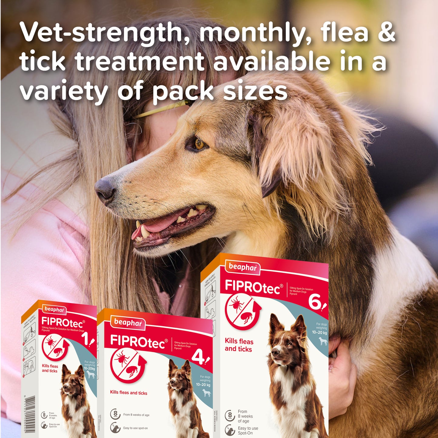 Beaphar Fiprotec Spot-On Medium Dog