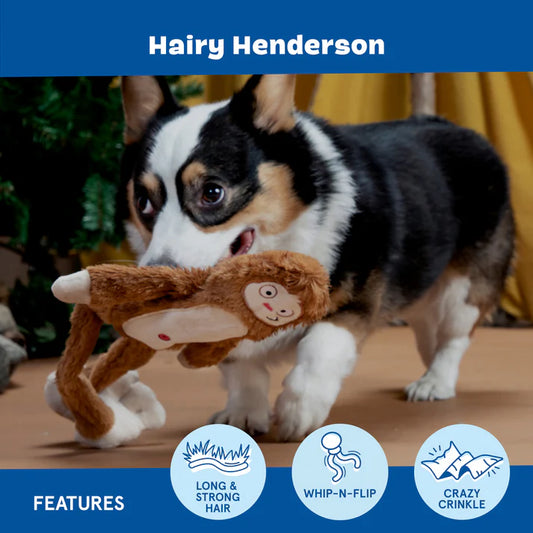 BARK Hairy Henderson