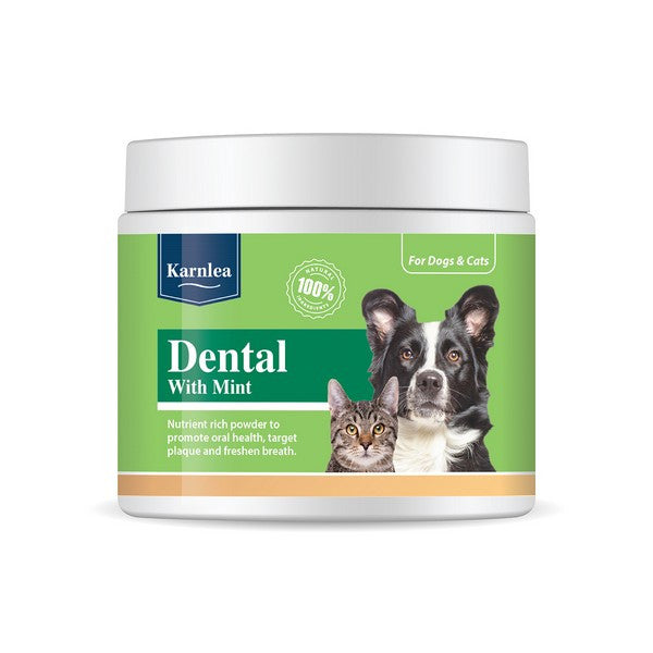 Karnlea Dental with Mint