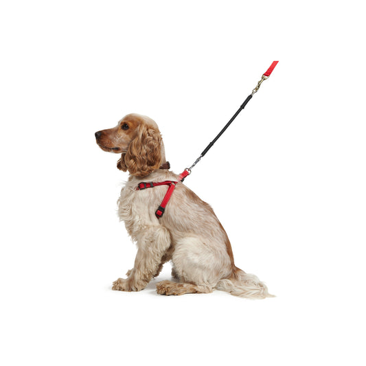 Shock Absorber Lead Extender One Hook Black