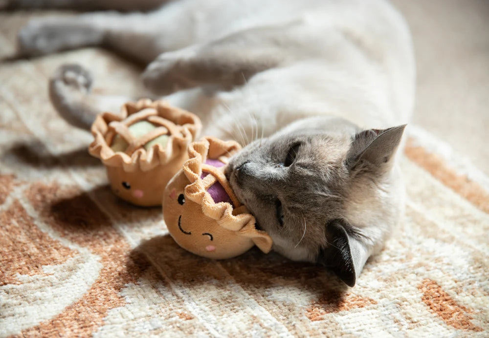 Rosewood Robby & Pingu Pie Duo Cat Toy