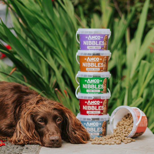 Anco Nibbles 300g