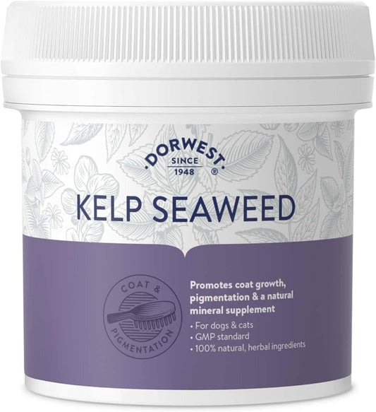 Dorwest Kelp Seaweed Powder