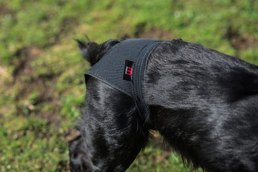 Mikki Hygiene Pants Lge