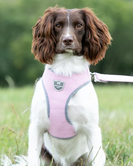 Hugo & Hudson Herringbone Harness Pink