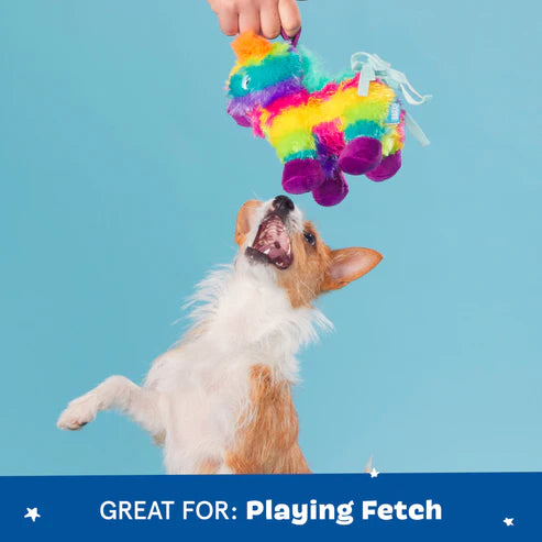 BARK Full O' Fluff Pinata