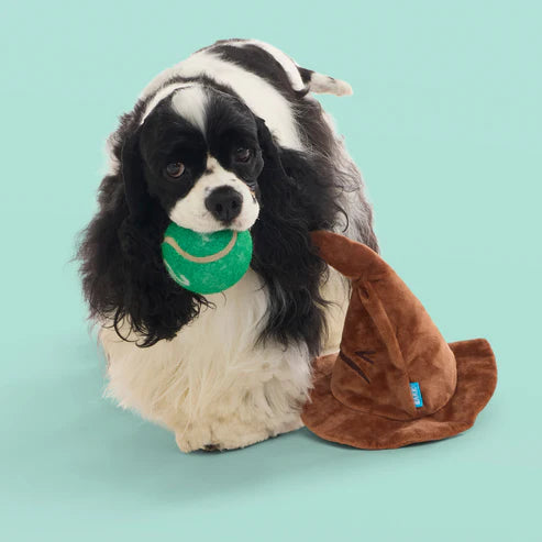 BARK Wizarding World Of Harry Potter Dog Toy The Sorting Hat