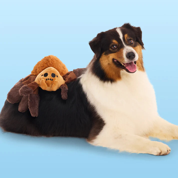 BARK Wizarding World Of Harry Potter Dog Toy Aragog