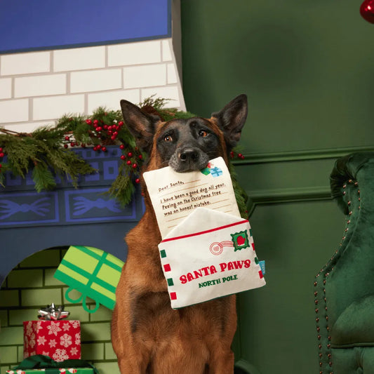 BARK Christmas Letter To Santa Paws