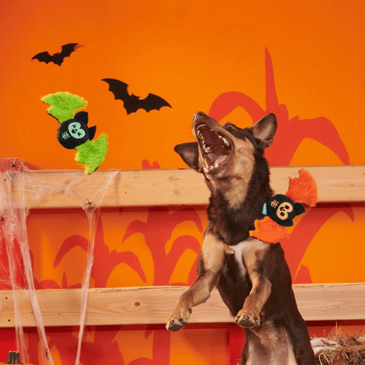 BARK Halloween Flutter & Fang