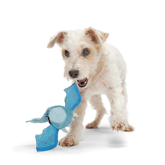 BARK Brrrtha The Dragon