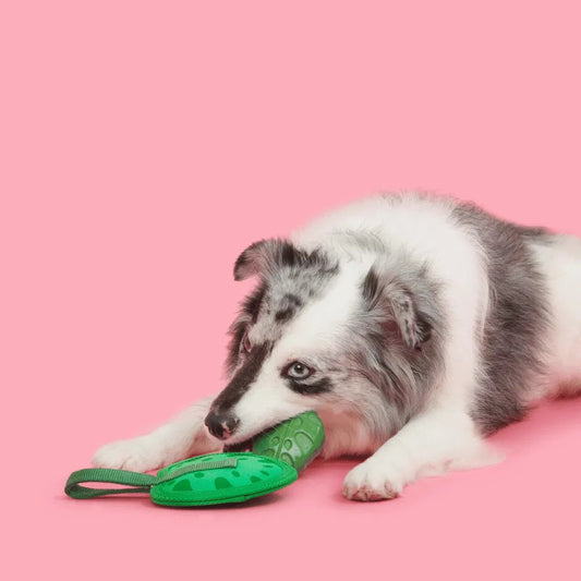 BARK Leaf Thrower