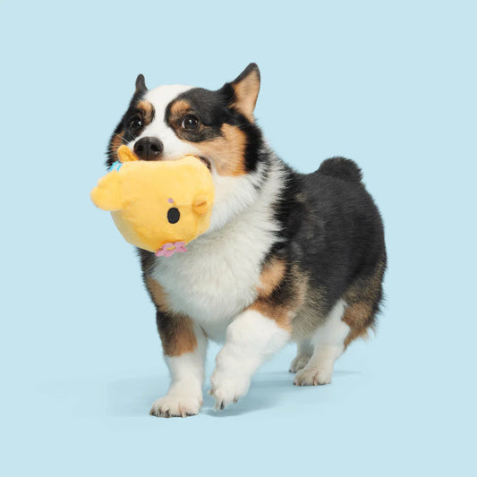 BARK Lil' Hennifer