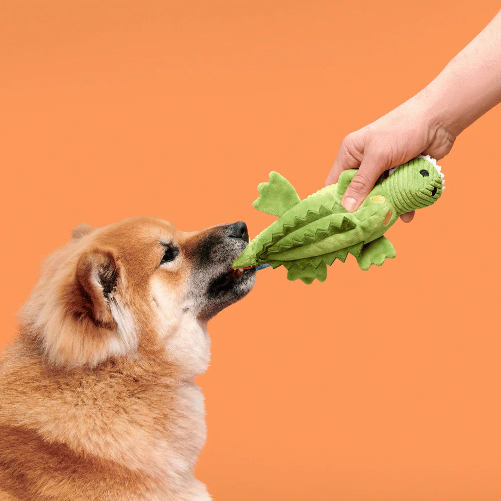 BARK Karri Crocodile Dog Toy