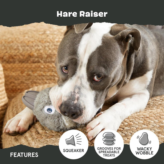 BARK Hare Raiser