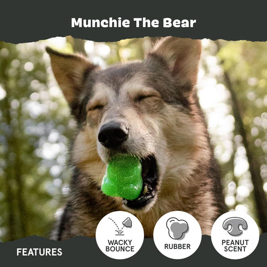 BARK Munchie the Bear