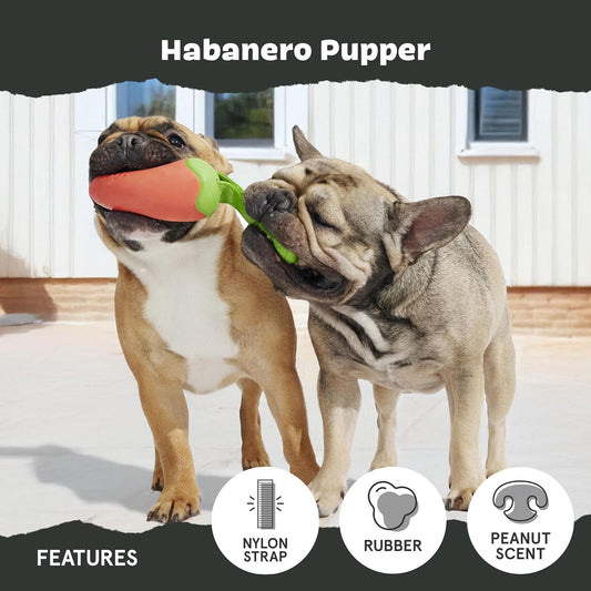 BARK Habanero Pupper