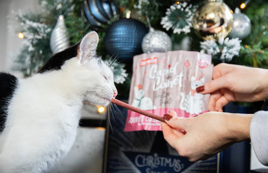 Rosewood Cat Collagen Festive Sticks 30g