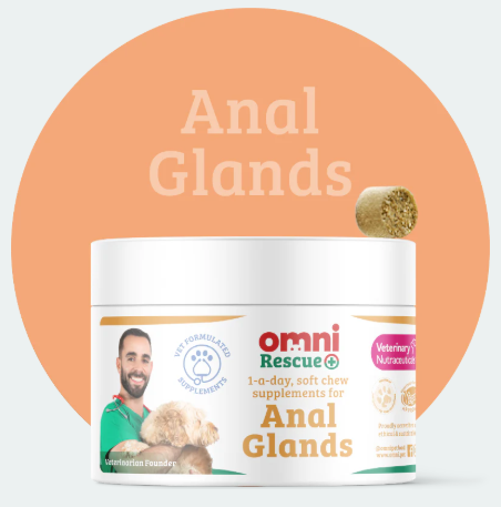 Omni Medium Dog Supplements 90g