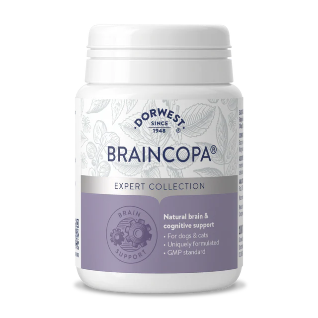 Dorwest BrainCopa Tablets