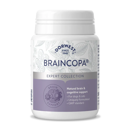 Dorwest BrainCopa Tablets