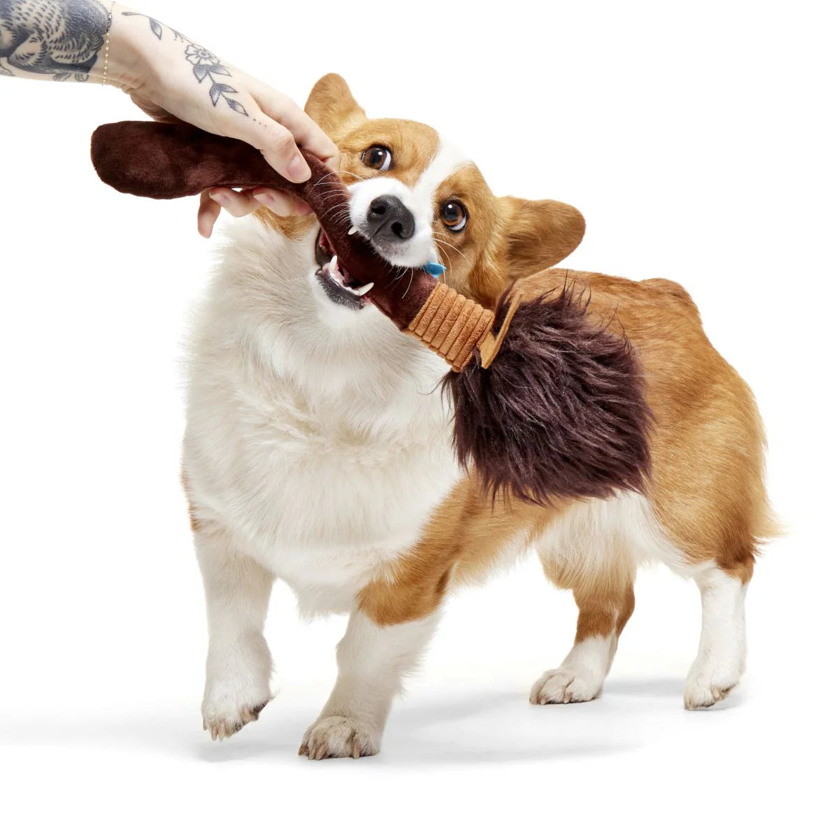 BARK Wizarding World Of Harry Potter Nimbus 2000