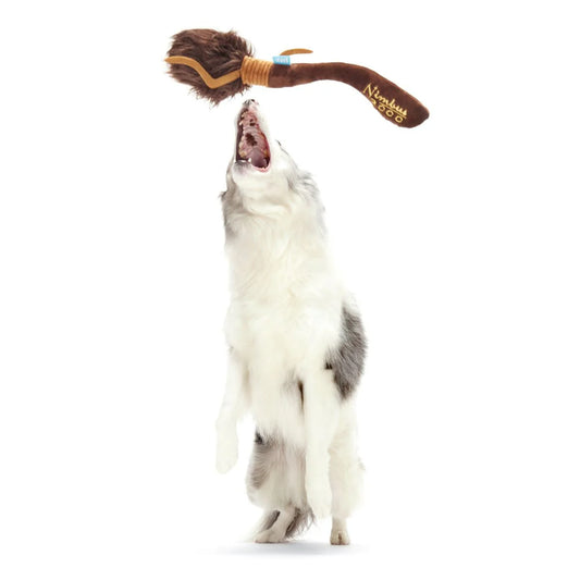 BARK Wizarding World Of Harry Potter Nimbus 2000