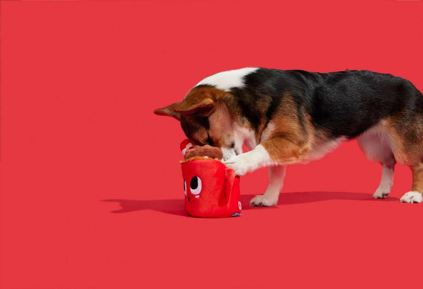 BARK Xmas Marshal & Coco