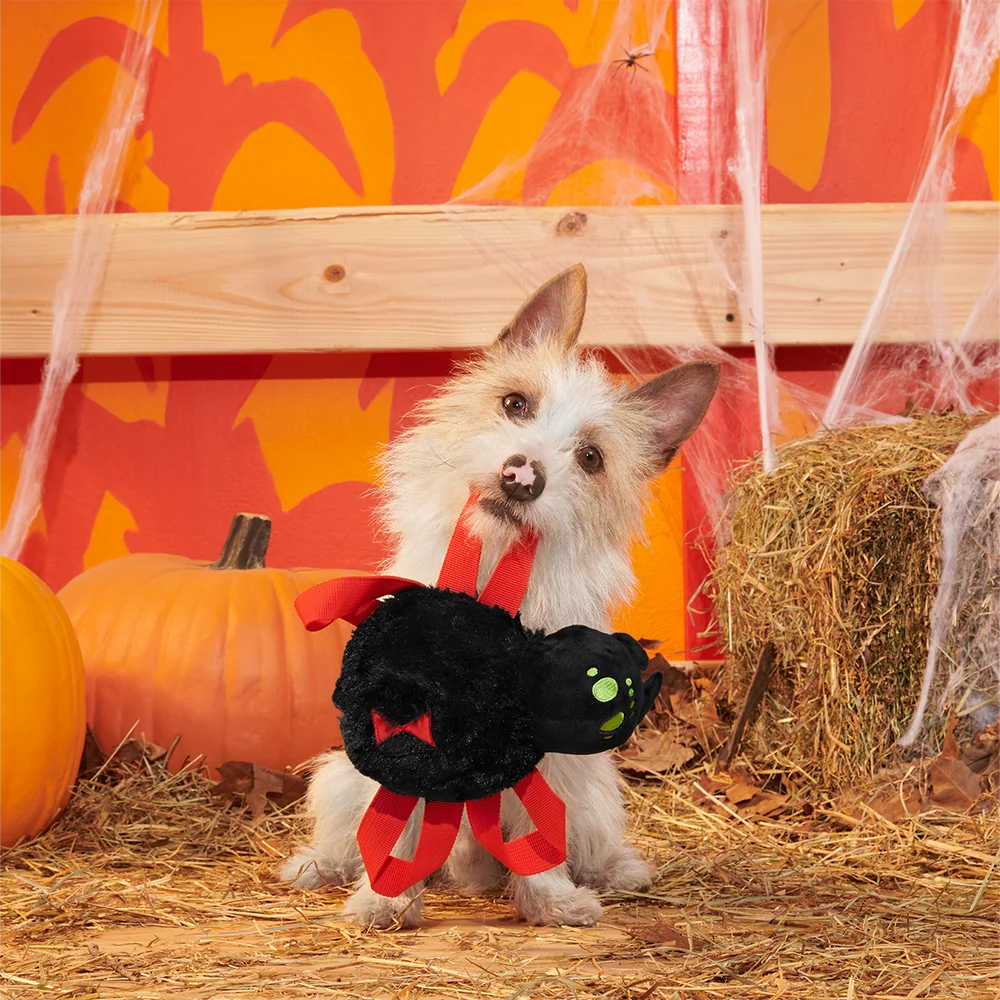 BARK Halloween Blake Widow