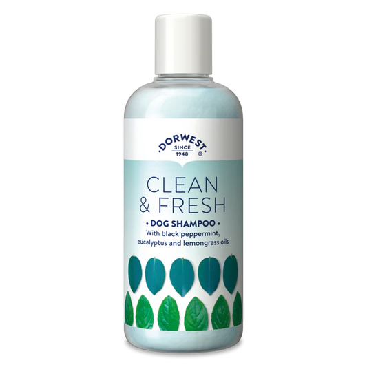 Dorwest Clean & Fresh Peppermint Shampoo