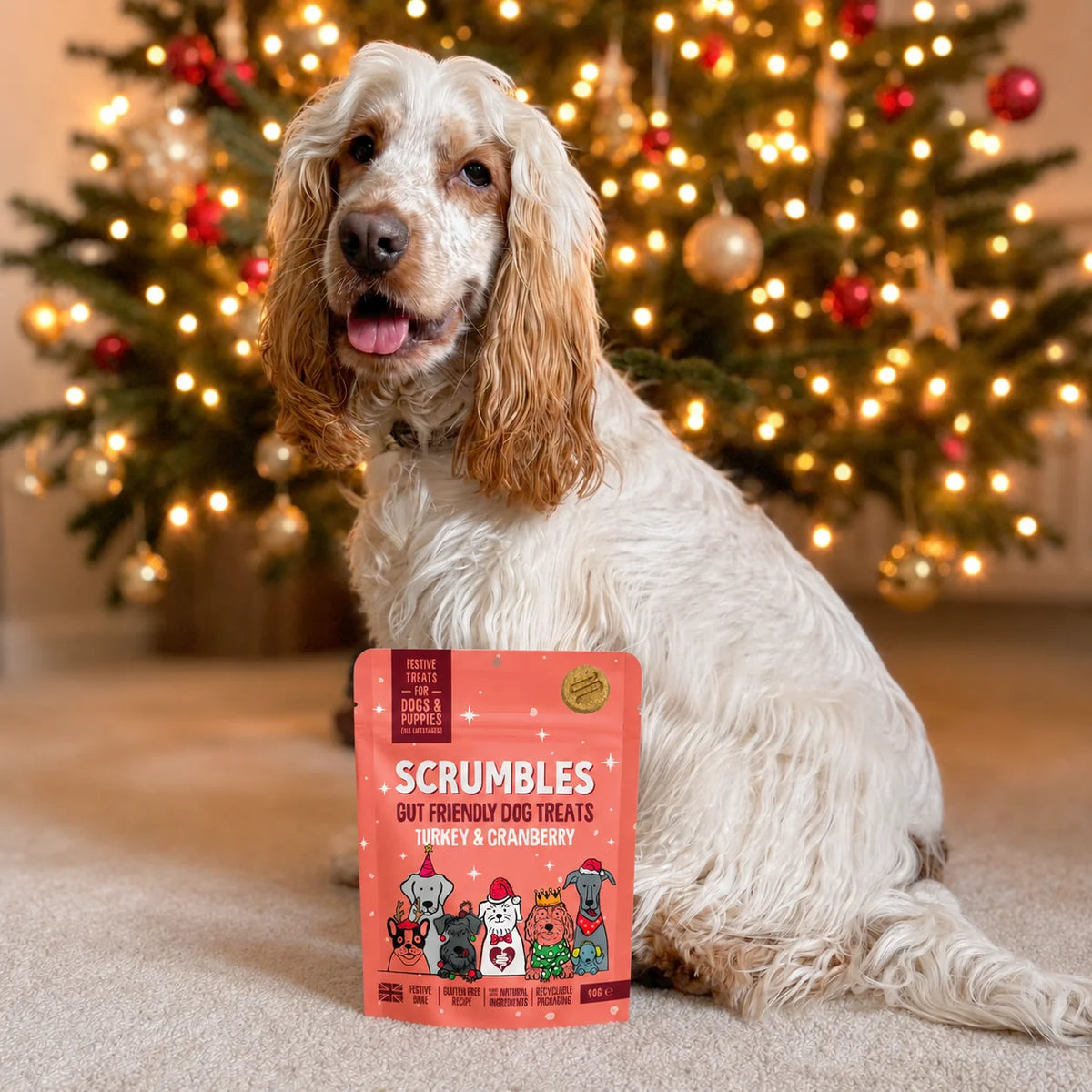 Scrumbles Christmas Turkey & Cranberry Treats 90g