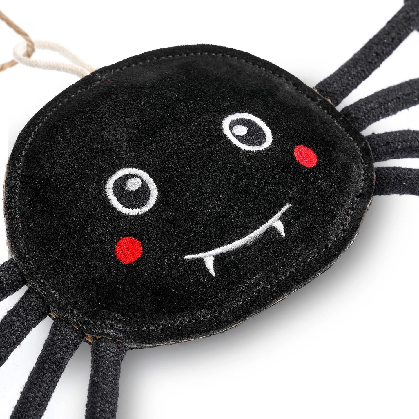 Green & Wilds Fangus Spider