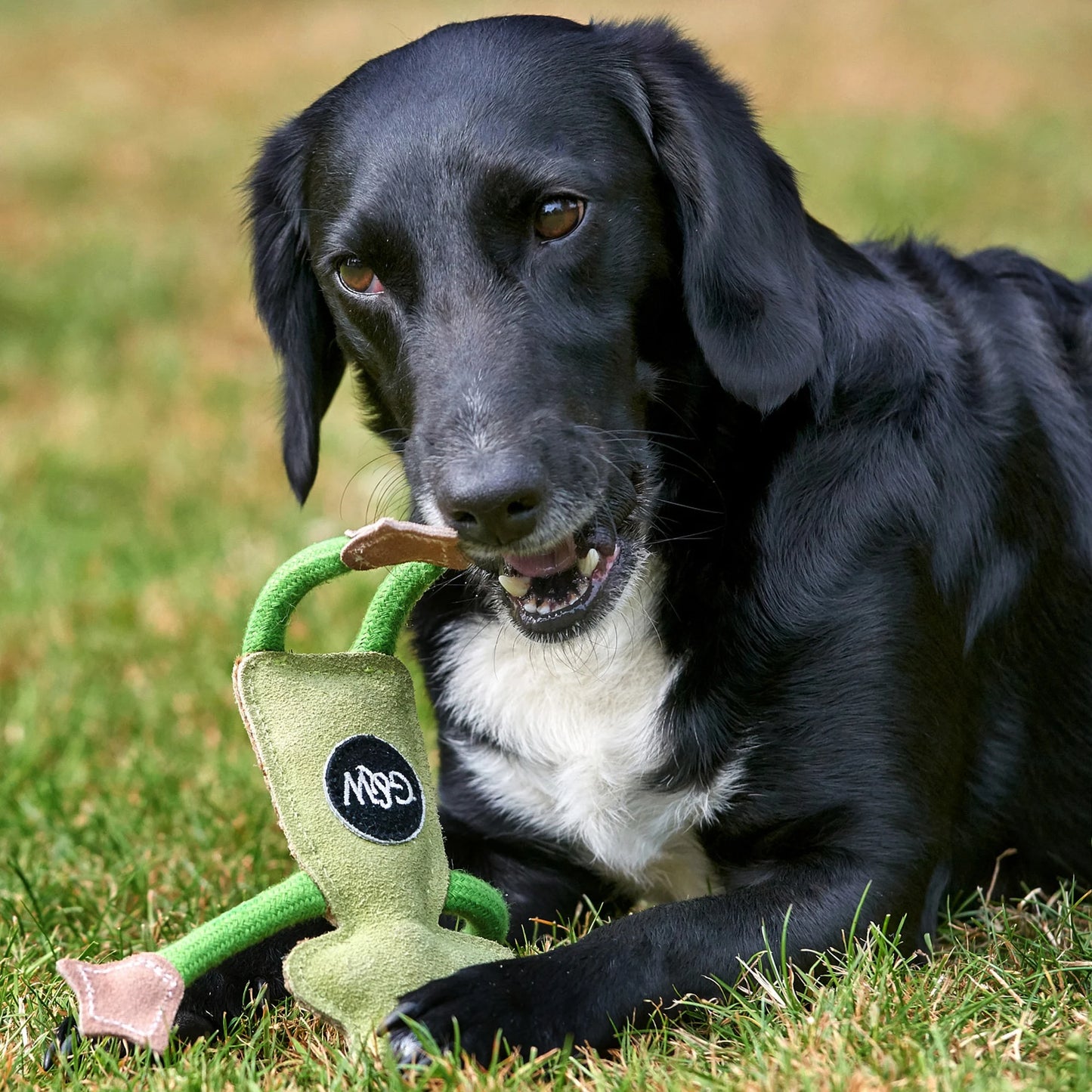 Green & Wild's Francois Le Frog Eco Toy