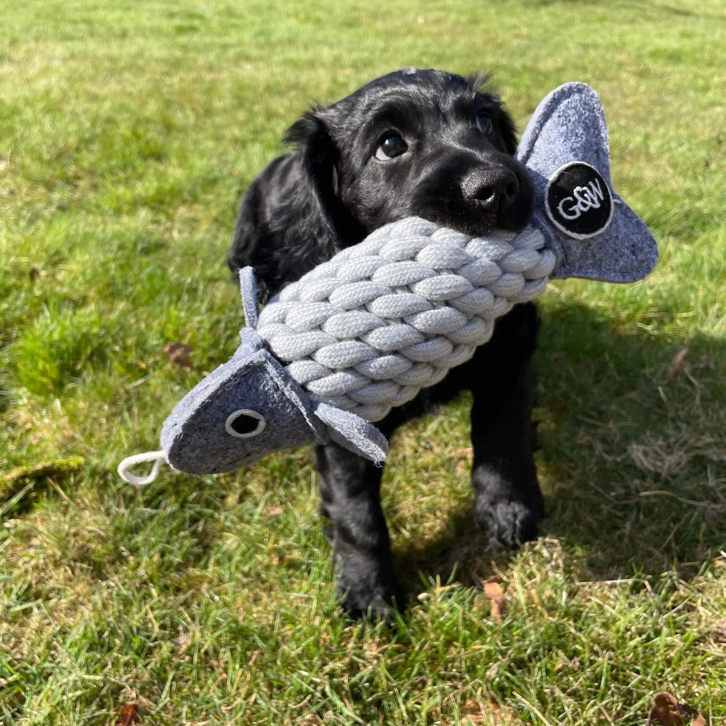 Green & Wild's Roger the Ropefish