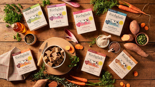 Forthglade Complete Adult Grain Free Tray 395g