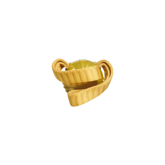 BARK Wizarding World Of Harry Potter The Golden Snitch