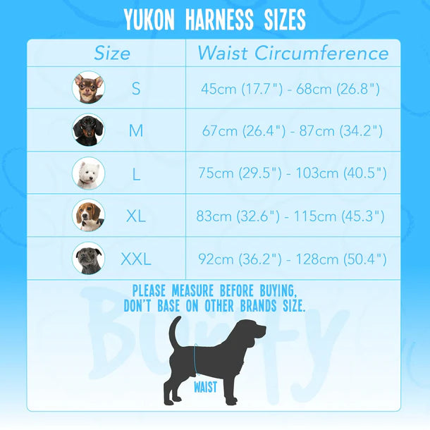 Bunty Yukon Harness XXL