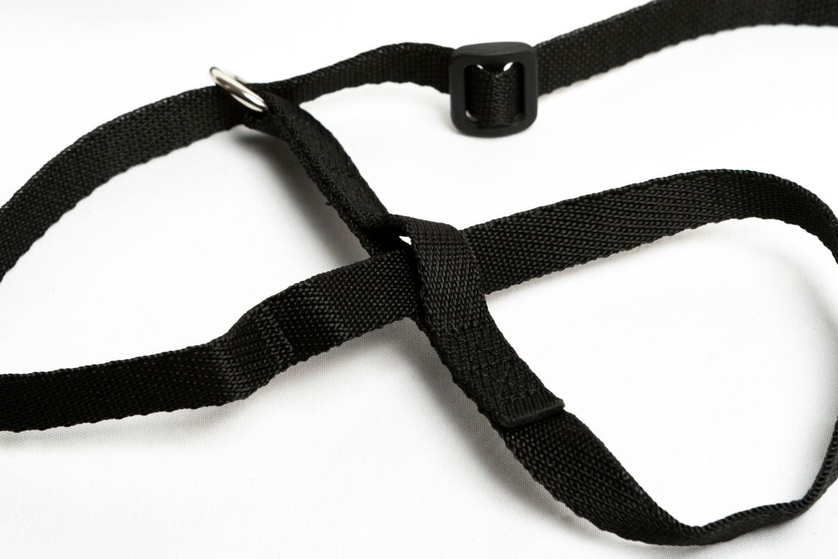 Mini All-In-One Dog Headcollar (Fits Small Dogs)