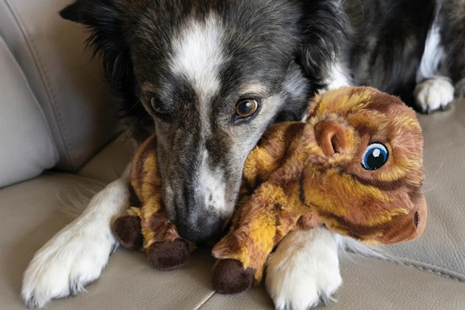 KONG Low Stuff Stripes