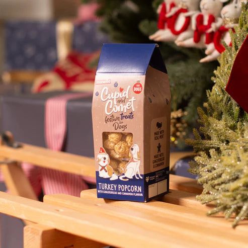 Rosewood Festive Turkey Popcorn For Dogs