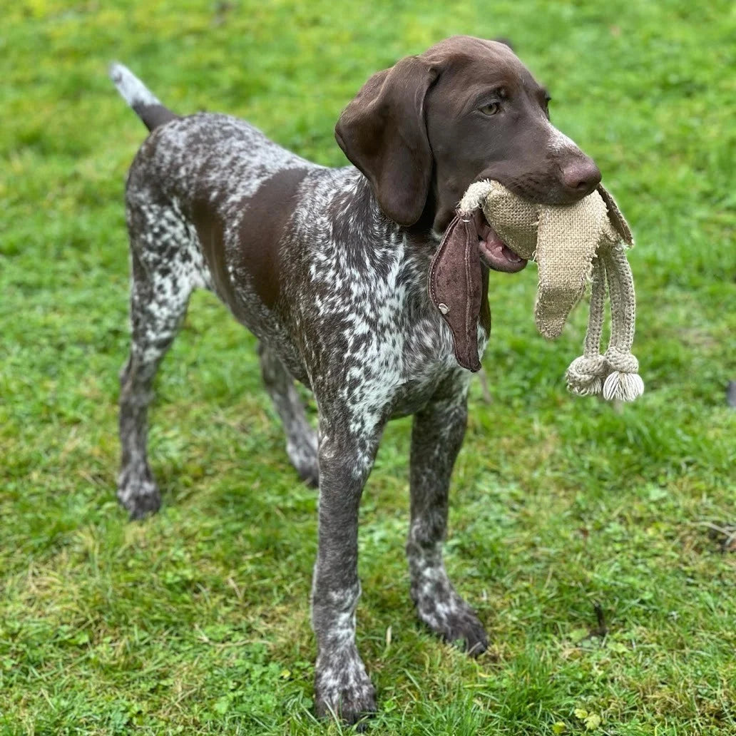 Green & Wild's Desmond The Duck Eco Dog Toy