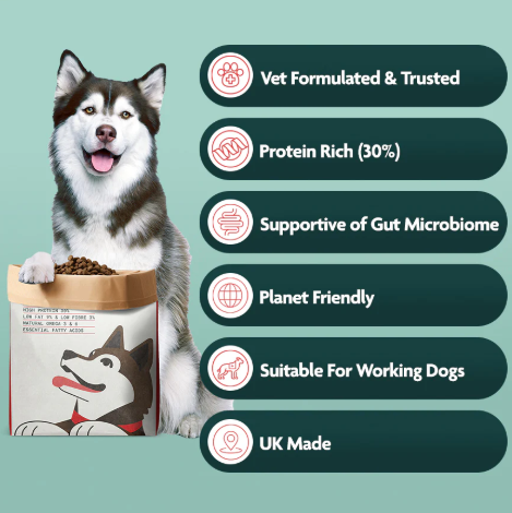 Omni Adult Dog Food