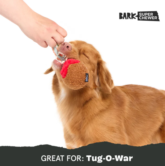 BARK A Squeaky Meat-A-Ball